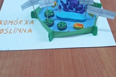 143709677_4207928279217229_7526776144832784520_n