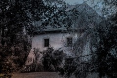 Picture5