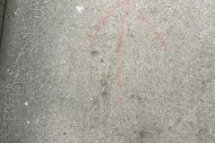IMG-20230509-WA0033
