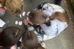 IMG-20230510-WA0001