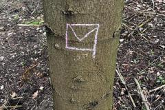 IMG-20230507-WA0037
